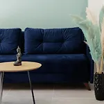 The *